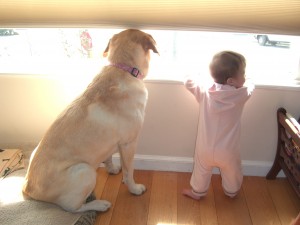 mayjun2007-072 neighborhood watch